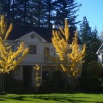 Photo of MacArthur Place Hotel