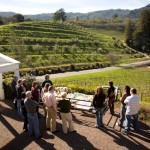 Photo of Benziger Family Winery