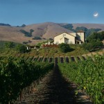 Photo of Gloria Ferrer Winery