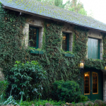 Photo of Buena Vista Winery
