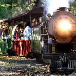 Photo of Train Town