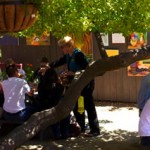 Photos of Roche Winery Tasting Room