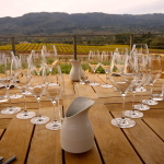 Image for Hamel Tasting