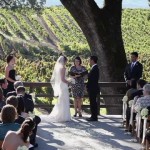 B R Cohn Winery Wedding