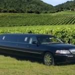Photo of California Wine Tours