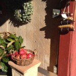 Photo of Oak Hill Farm