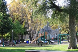 Photo of Sonoma Plaza Playground